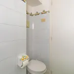 Turquoise * كابري
